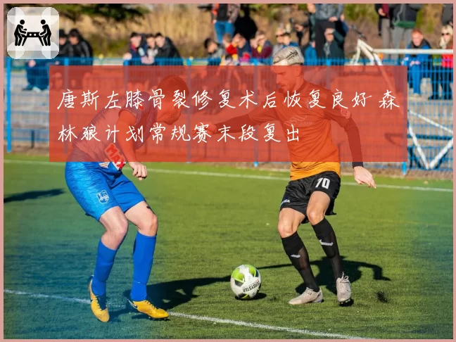 唐斯左膝骨裂修复术后恢复良好 森林狼计划常规赛末段复出