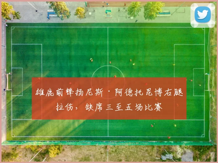雄鹿前锋扬尼斯·阿德托昆博右腿筋拉伤，缺席三至五场比赛